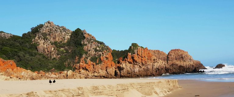 Knysna Area Information