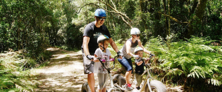 Activities for Kids in Knysna