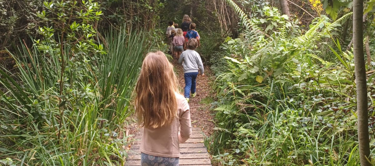 Pledge Nature Reserve